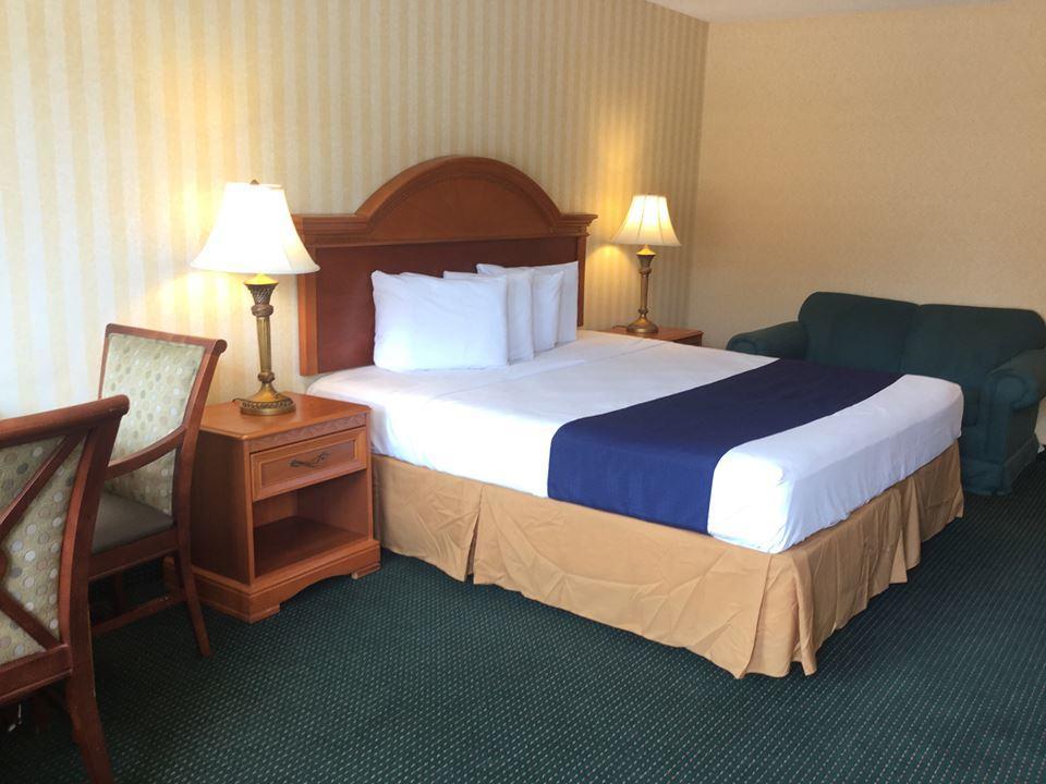 Springfield Inn מראה חיצוני תמונה