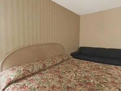 Springfield Inn מראה חיצוני תמונה